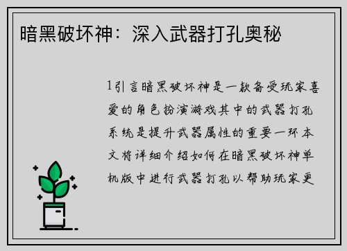 暗黑破坏神：深入武器打孔奥秘